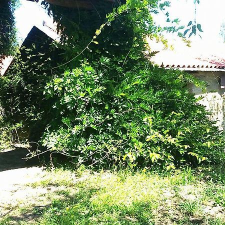 Отель Quinta De Abol De Baixo Entre-os-Rios Экстерьер фото