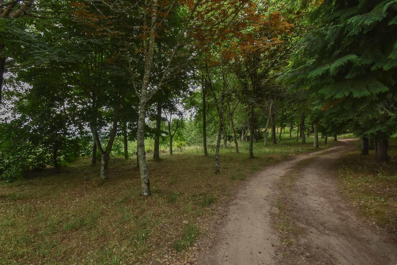Отель Quinta De Abol De Baixo Entre-os-Rios Экстерьер фото