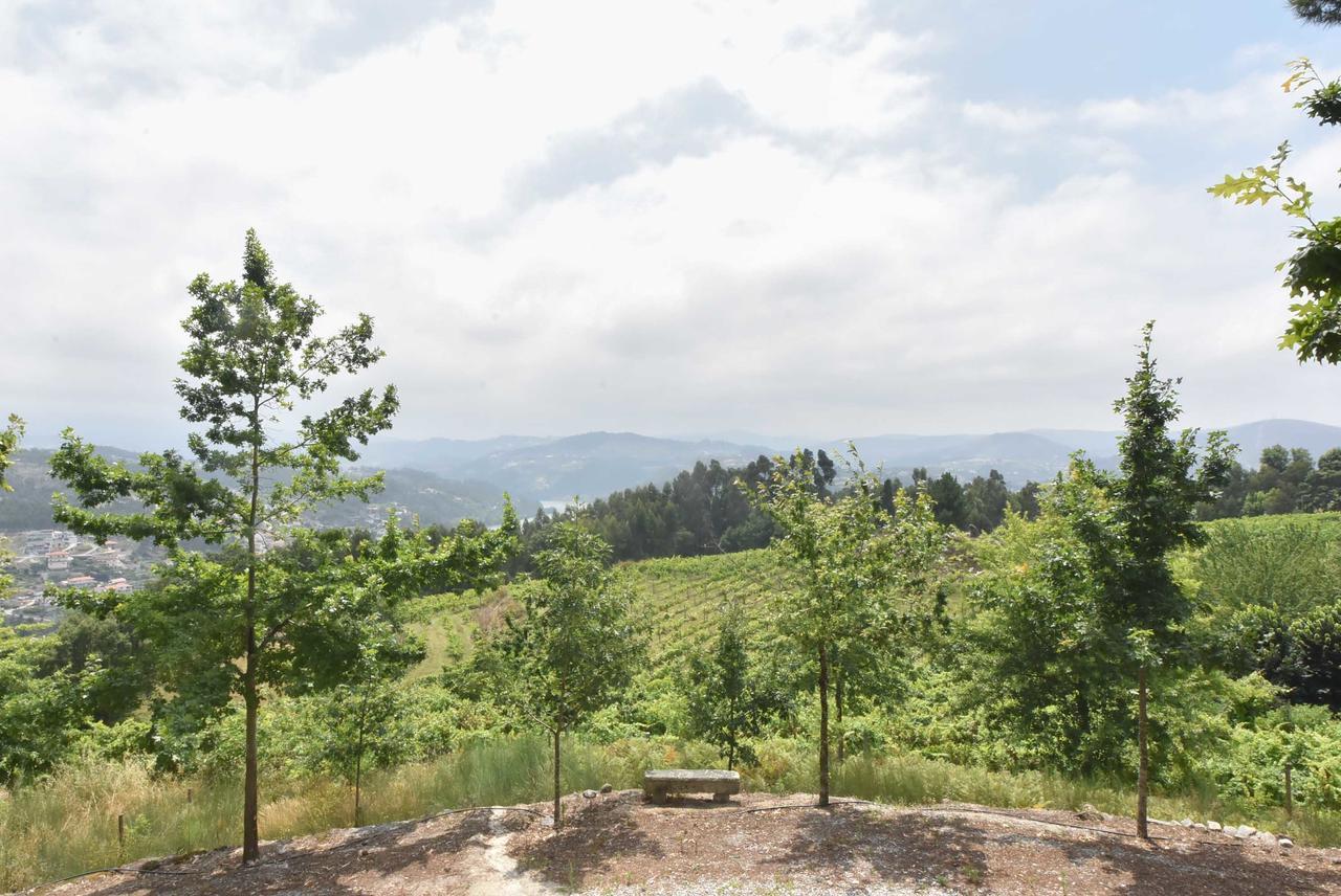 Отель Quinta De Abol De Baixo Entre-os-Rios Экстерьер фото